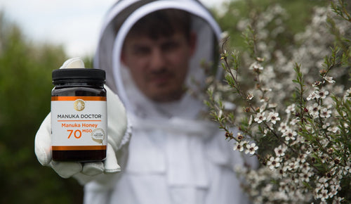 Mānuka Honey, MGO and heat – the full facts